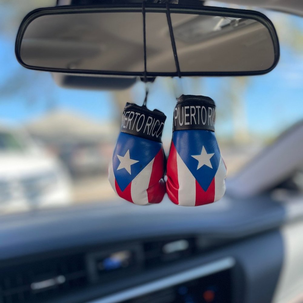 Puerto Rico Country Flag Mini Boxing Gloves to Hang On Car Mirror